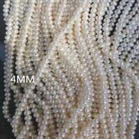 Naturales agua dulce perlas sueltas, Perlas cultivadas de agua dulce, Esférico, Bricolaje, Blanco, 4mm, longitud:36-38 cm, Vendido por Sarta[