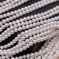 Naturel d'eau douce perles, perle d'eau douce cultivée, Légèrement rond, DIY, blanc, 6mm Environ 38 cm, Vendu par brin
