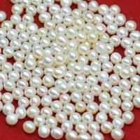 No Hole Cultured Freshwater Pearl Beads, Slightly Round, Natural & DIY, white, 3-3.5mm 