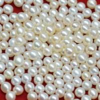 No Hole Cultured Freshwater Pearl Beads, Round, Natural & DIY, white, 3.5-4mm 