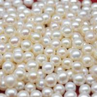 No Hole Cultured Freshwater Pearl Beads, Round, Natural & DIY, white, 5.5-6mm 