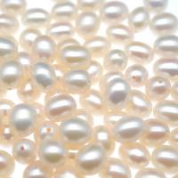 No Hole Cultured Freshwater Pearl Beads, Rice, Natural & DIY white 