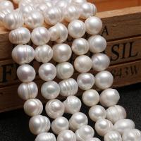 Barock kultivierten Süßwassersee Perlen, Natürliche kultivierte Süßwasserperlen, Natürliche & DIY, weiß, 9-10mm, Länge:36 cm, verkauft von Strang