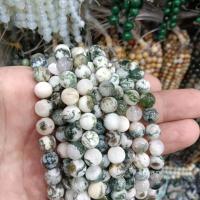 Natürlichen Baum-Achat-Perlen, Baumachat, rund, poliert, DIY & verschiedene Größen vorhanden, gemischte Farben, Länge:ca. 38 cm, verkauft von Strang