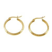 Titanium Steel Lever Back Earring, 18K gold plated, fashion jewelry & for woman 