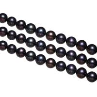 Round Cultured Freshwater Pearl Beads, black, 11-12mm Approx 0.8mm Approx 15 Inch 
