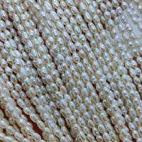 Rice Cultured Freshwater Pearl Beads, DIY, white, 2-3mm Approx 15 Inch 