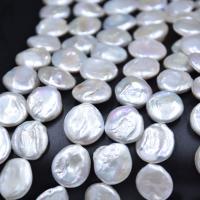 Bouton de culture des perles d'eau douce, perle d'eau douce cultivée, Naturel & DIY, blanc, 18-20cm cm, Vendu par brin