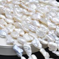Perlas cultivadas de agua dulce, Barroco, Natural & Bricolaje, Blanco, 8x10mm, longitud:35-38 cm, Vendido por Sarta
