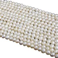 Natural Freshwater Pearl Loose Beads, Slightly Round, DIY white cm 