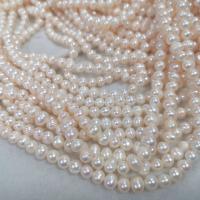 Naturel d'eau douce perles, perle d'eau douce cultivée, DIY, blanc, 6mm Environ 15 pouce, Vendu par brin