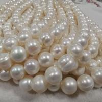 Natürliche Süßwasser, lose Perlen, Natürliche kultivierte Süßwasserperlen, DIY, weiß, 12-14mm, Länge:ca. 37 cm, verkauft von Strang[