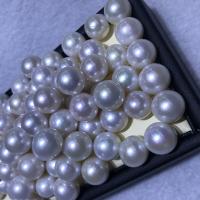 Perles nacres sans trou de culture d'eau douce, perle d'eau douce cultivée, DIY, blanc, 11-12mm, Vendu par PC[