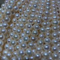 Naturel d'eau douce perles, perle d'eau douce cultivée, DIY, blanc, 7-8mm Environ 38 cm, Vendu par brin