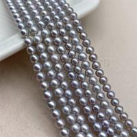 Round Cultured Freshwater Pearl Beads, DIY, purple, 3.5-4mm Approx 15 Inch 