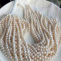 Round Cultured Freshwater Pearl Beads, DIY, white, 7-8mm Approx 15 Inch 