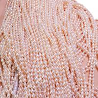 Rice Cultured Freshwater Pearl Beads, DIY 3-4mm Approx 38 cm 
