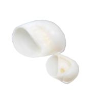Shell Decoration, Natural & fashion jewelry white, 2.5-4cm 