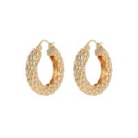 Brass Hoop Earring, gold color plated & for woman, golden 