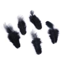 Feather Decoration, Chicken Feather, fashion jewelry & for woman 4-9mm 