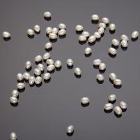 Rice Cultured Freshwater Pearl Beads, DIY, white, 4.5-5mm 