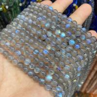 Labradorite Beads, Round, polished, DIY, grey, 6mm Approx 39 cm [