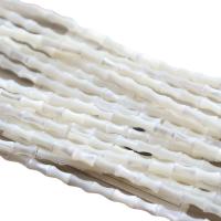 Трохусы бусы, верхний кожух, полированный, DIY, белый длина:Приблизительно 39 см, продается Strand[