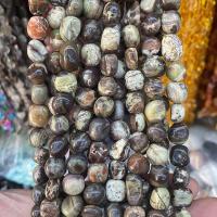 Perles de Oiseau Pierre, Kambaba-Jasper, pepite, poli, DIY, couleurs mélangées Environ Vendu par brin