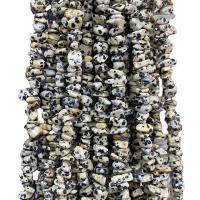 Abalorio de Piedra Dalmata, dálmata, Pepitas, pulido, Bricolaje, color mixto, 5x8mm, longitud:aproximado 80 cm, Vendido por Sarta