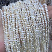 Naturel d'eau douce perles, perle d'eau douce cultivée, bijoux de mode & DIY & normes différentes pour le choix, blanc Environ 38 cm, Vendu par brin