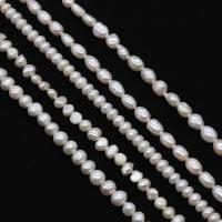 Naturel d'eau douce perles, perle d'eau douce cultivée, Irrégulière, DIY & normes différentes pour le choix & modèles différents pour le choix, blanc Environ 38 cm, Vendu par brin