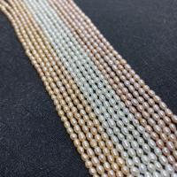 Rice Cultured Freshwater Pearl Beads, DIY Approx 38 cm 