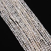Keshi Cultured Freshwater Pearl Beads, DIY white Approx 38 cm 