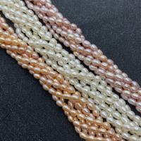 Rice Cultured Freshwater Pearl Beads, DIY Approx 38 cm 