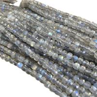 Labradorit Perlen, Quadrat, DIY & facettierte, grau, 4x4mm, Länge:ca. 39 cm, verkauft von Strang