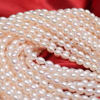 Rice Cultured Freshwater Pearl Beads, DIY white Approx 37 cm [