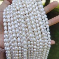 Perles d'eau douce de culture de riz, perle d'eau douce cultivée, Placage, DIY, blanc mm Environ 36 cm, Vendu par brin[
