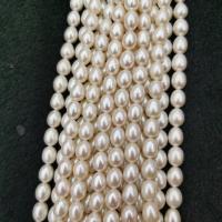 Perles d'eau douce de culture de riz, perle d'eau douce cultivée, Placage, DIY & normes différentes pour le choix, blanc Environ 37 cm, Vendu par brin