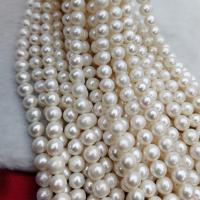 Naturel d'eau douce perles, perle d'eau douce cultivée, Légèrement rond, DIY, blanc mm Environ 37 cm, Vendu par brin