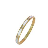 Titanium Steel Bangle, with Resin Shell, Vacuum Ion Plating, micro pave cubic zirconia & for woman 6mm, Inner Approx 