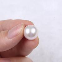 No Hole Cultured Freshwater Pearl Beads, Round, Natural & fashion jewelry & DIY white 
