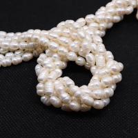Rice Cultured Freshwater Pearl Beads, Natural & fashion jewelry & DIY white cm [
