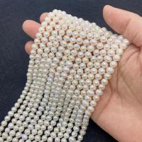 Natural Freshwater Pearl Loose Beads, Slightly Round, fashion jewelry & DIY white cm 