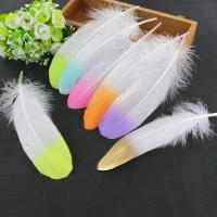 Fashion Costume Decoration, Goose Feather, Feather, fashion jewelry & DIY & for woman 14-20CM 