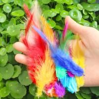 Feather Decoration, Chicken Feather, fashion jewelry & DIY & for woman 8-15CM [