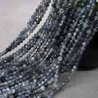 Single Gemstone Beads, Iolite, Round, DIY black Approx 36 cm 