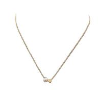 Natural Freshwater Pearl Necklace, Titanium Steel, with Freshwater Pearl & Brass, with 6cm extender chain, real gold plated, fashion jewelry & for woman, two different colored cm 
