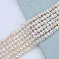 Natural Freshwater Pearl Loose Beads, DIY, white, 5-6mm Approx 36 cm 