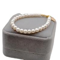 Cultured Freshwater Pearl Bracelets, Titanium Steel, with Freshwater Pearl, with 3.5cm extender chain, real gold plated, fashion jewelry & for woman, two different colored cm 