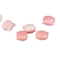 Natural Freshwater Shell Beads, Queen Conch Shell, Cat, DIY 
